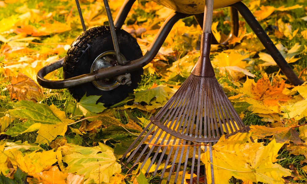 Herfst in de tuin met kruiwagen en hark