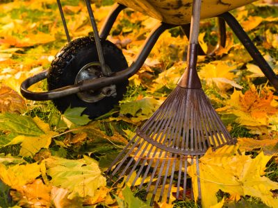 Herfst in de tuin met kruiwagen en hark