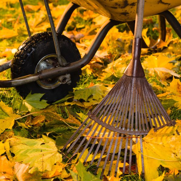 Herfst in de tuin met kruiwagen en hark